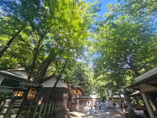 調神社(埼玉県)