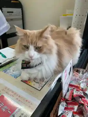 駒込妙義神社(東京都)