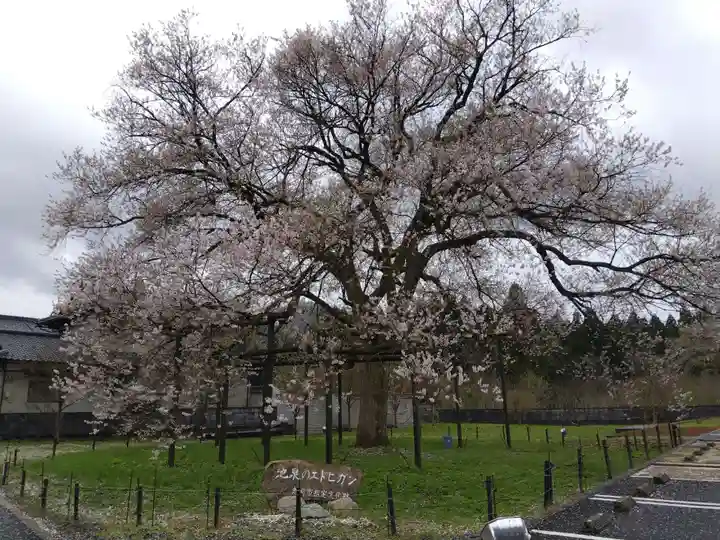 霊泉寺(福井県)