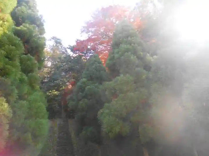 理智光寺跡(理智光寺址)<史跡>の自然