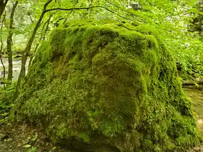 達沢不動滝の自然