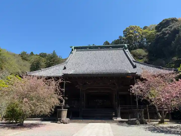 妙本寺の{uncategorized: "未分類", other: "その他", undefined: "問題あり", building: "その他建物", grave: "お墓", sacred_gate: "鳥居", guardian: "狛犬", statue: "像", buddha: "仏像", history: "歴史", nature: "自然", garden: "庭園", animal: "動物", pagoda: "塔", temizu: "手水舎", mountain_gate: "山門・神門", sanctuary: "本殿・本堂", subordinate: "末社・摂社", art: "芸術", scenery: "景色", jizo: "地蔵", ema: "絵馬", goshuin: "御朱印", omikuji: "おみくじ", items: "授与品その他", amulet: "お守り", goshuincho: "御朱印帳", eats: "食事", festival: "お祭り", votive_dance: "神楽", shichigosan: "七五三参", wedding: "結婚式", experience: "体験その他", initially: "初詣", around: "周辺", anti_infection: "感染症対策"}