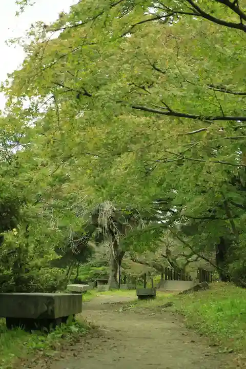 南湖神社の自然