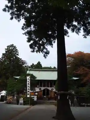 比々多神社の本殿・本堂