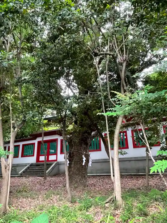 富岡八幡宮の自然
