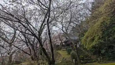 勝持寺（花の寺）(京都府)