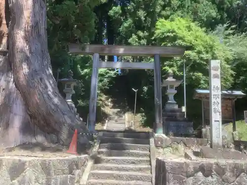 杉本神明神社の鳥居