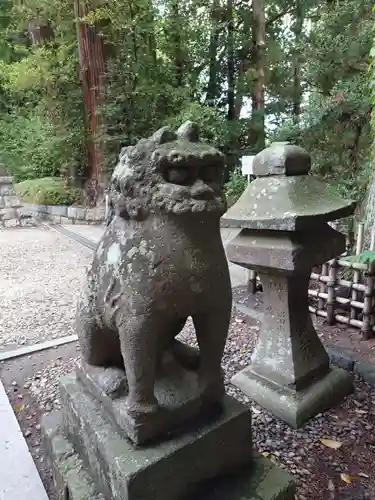 大崎八幡宮の狛犬