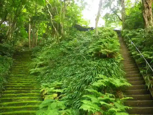 妙法寺の景色