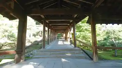 東福禅寺(東福寺)(京都府)