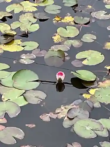 辯天寺(愛知県)