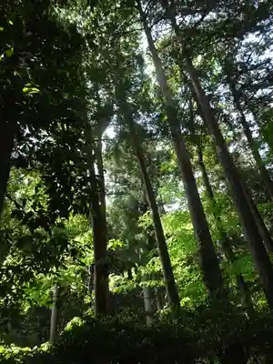 塩船観音寺(東京都)