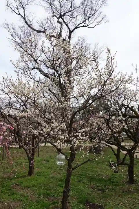 北野天満宮の庭園