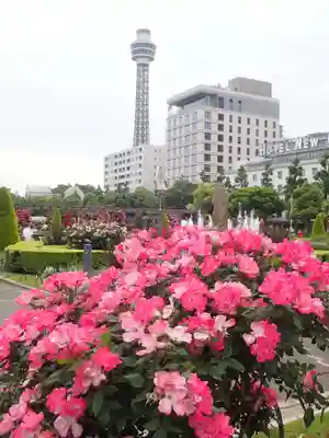 石川町諏訪神社(神奈川県)