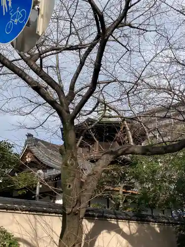 鶴満寺のその他建物