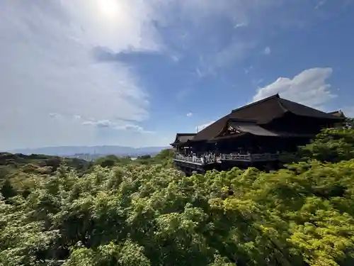 清水寺の本殿・本堂