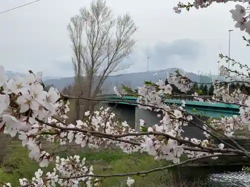 新川皇大神社の自然