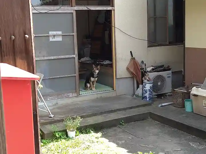 清巌寺(島根県)