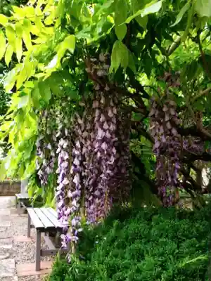 禅定院(東京都)
