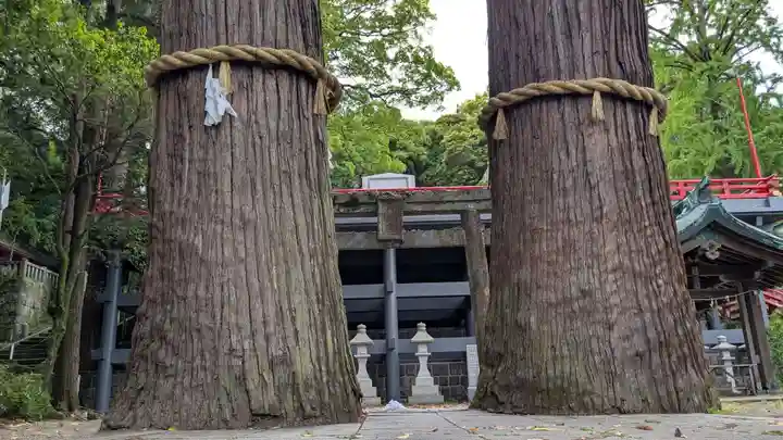 八幡朝見神社の自然
