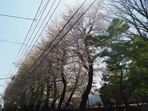 大野台御嶽神社の自然