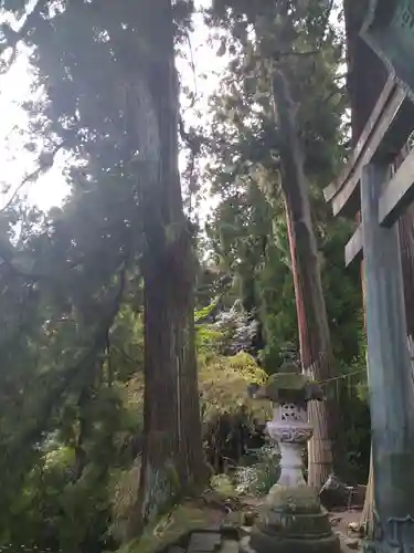 妙義神社の鳥居