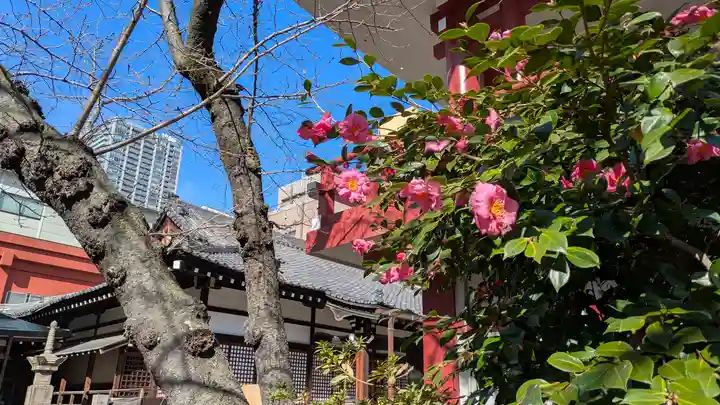 摂津之国 國分寺(金光明四天王護国之寺)(大阪府)