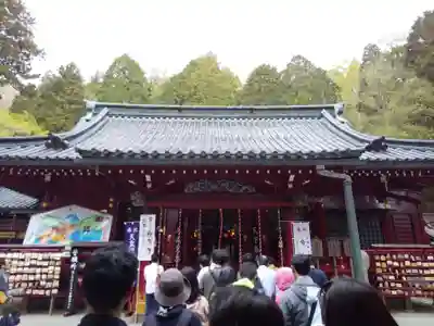 箱根神社の本殿・本堂