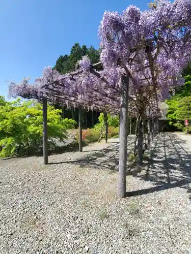金乗院(那須波切不動尊) の自然