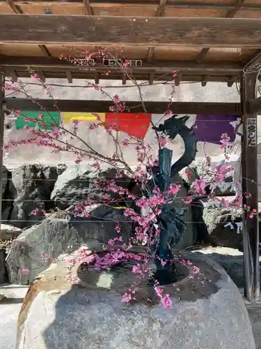 瀧不動尊の手水舎