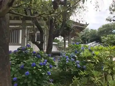 善福寺のその他建物