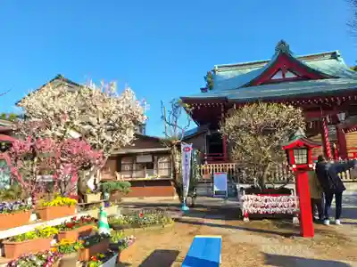 岡村天満宮(神奈川県)