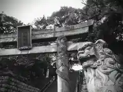 品川神社の鳥居