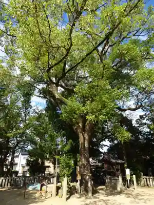 稲荷神社(岡山県)
