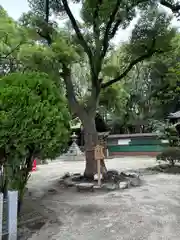 神明社（桜神明社）(愛知県)