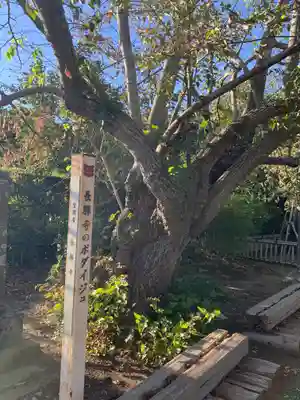 長勝寺(茨城県)