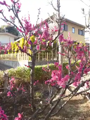 山角天神社(神奈川県)