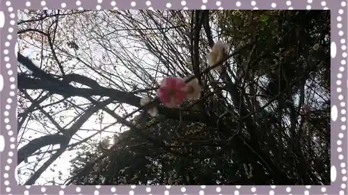 千代ケ岡八幡宮(栃木県)