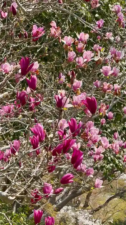 鷺森神社(京都府)