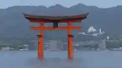 厳島神社(広島県)