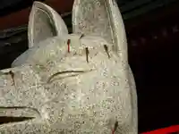 白狐山光星寺の動物