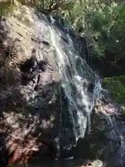 紀州宝来宝来神社の自然