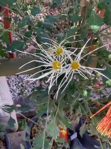 富部神社の自然