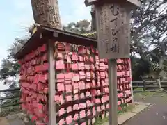 江島神社の絵馬