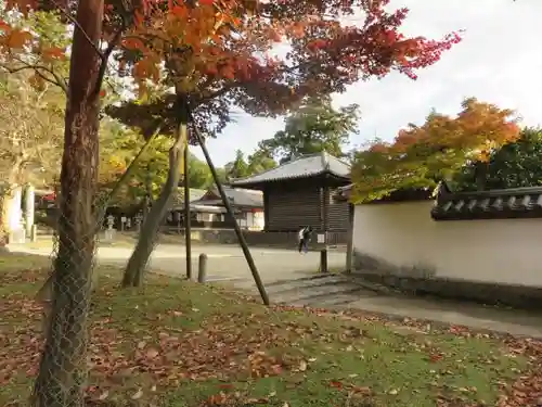 東大寺の自然