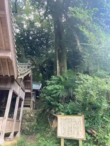 高野川神社(愛媛県)