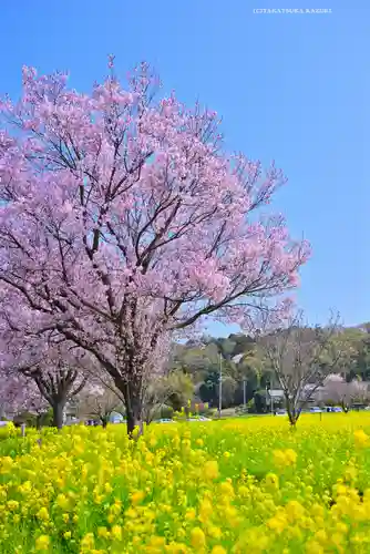 瑞雲寺(神奈川県)