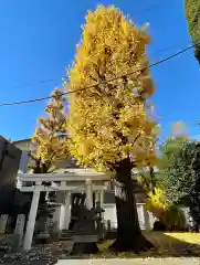 初音森神社の自然