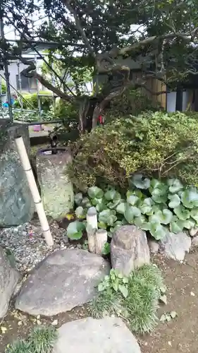 龍興寺の庭園