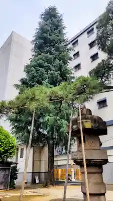 髙福院(東京都)